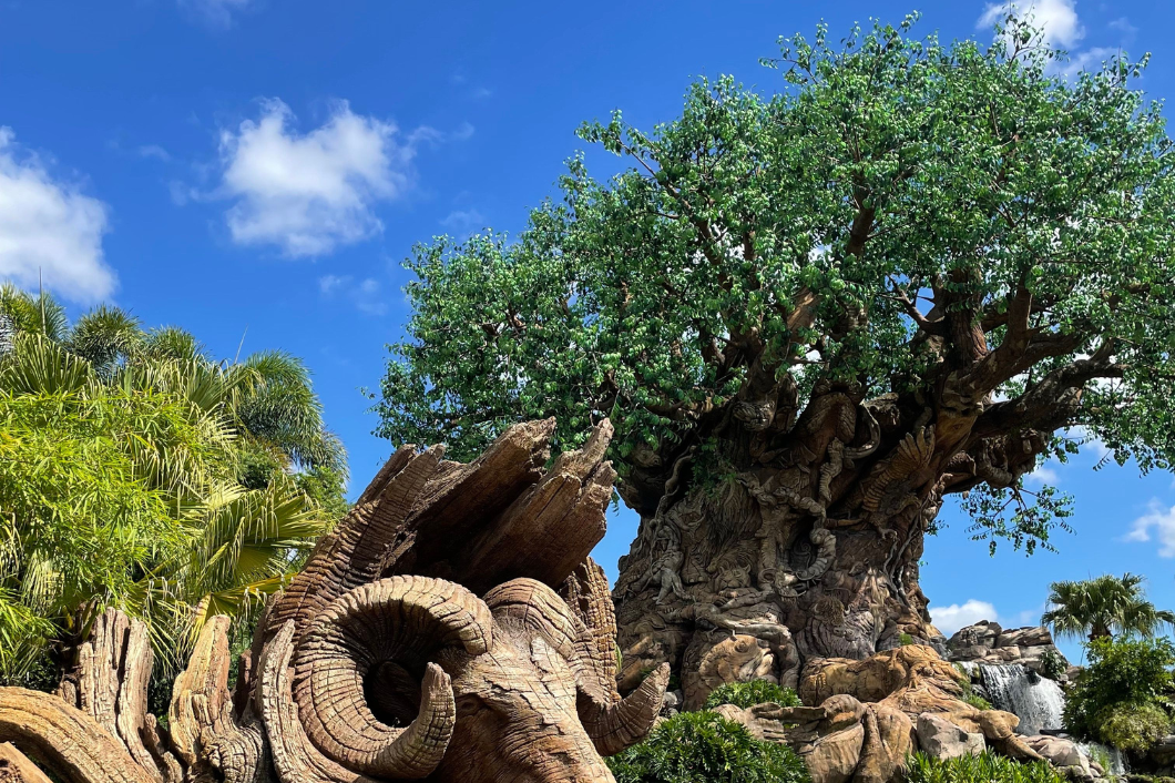 Animal Kingdom